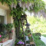 scala fiori