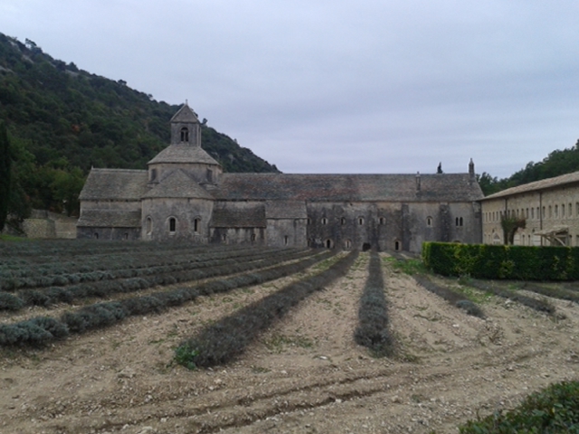 abbazia di senanque