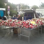 fiori mercatino isle sur la sorgue