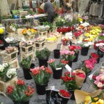 fiori mercatino isle sur la sorgue
