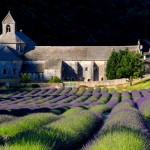 abbazia di senanque