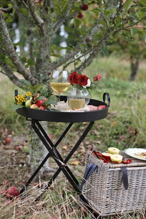 appoggia-bicchieri-picnic