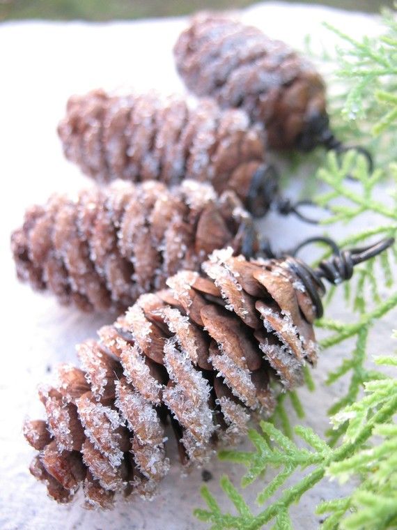 pigne-albero-di-natale