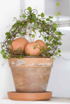 centrotavola-vaso-uovo