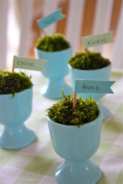 segnaposti-azzurri-muschio