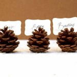 segnaposto-pigna