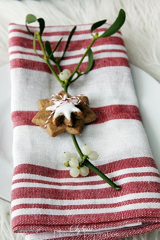 tovagliolo-rosso-biscotto