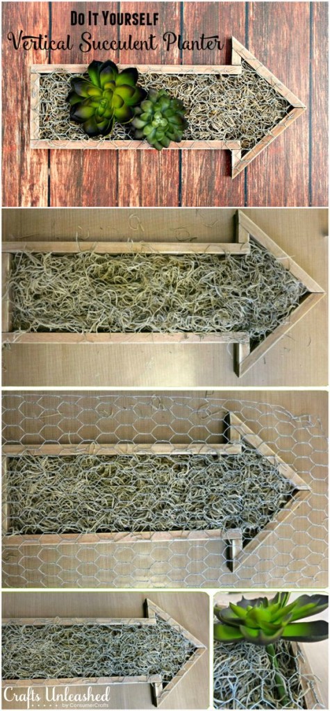cucina-freccia-pianta