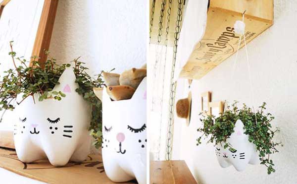 gatti-bottiglia-vasetto