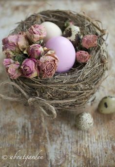 nido uova rosa viola